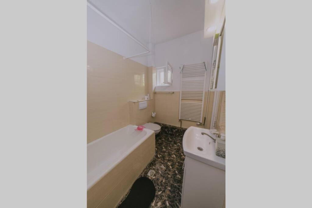 Predoi'S Place Сіная Екстер'єр фото