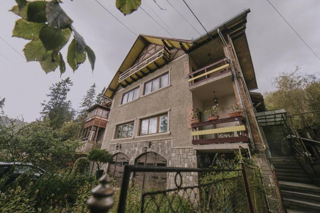Predoi'S Place Сіная Екстер'єр фото